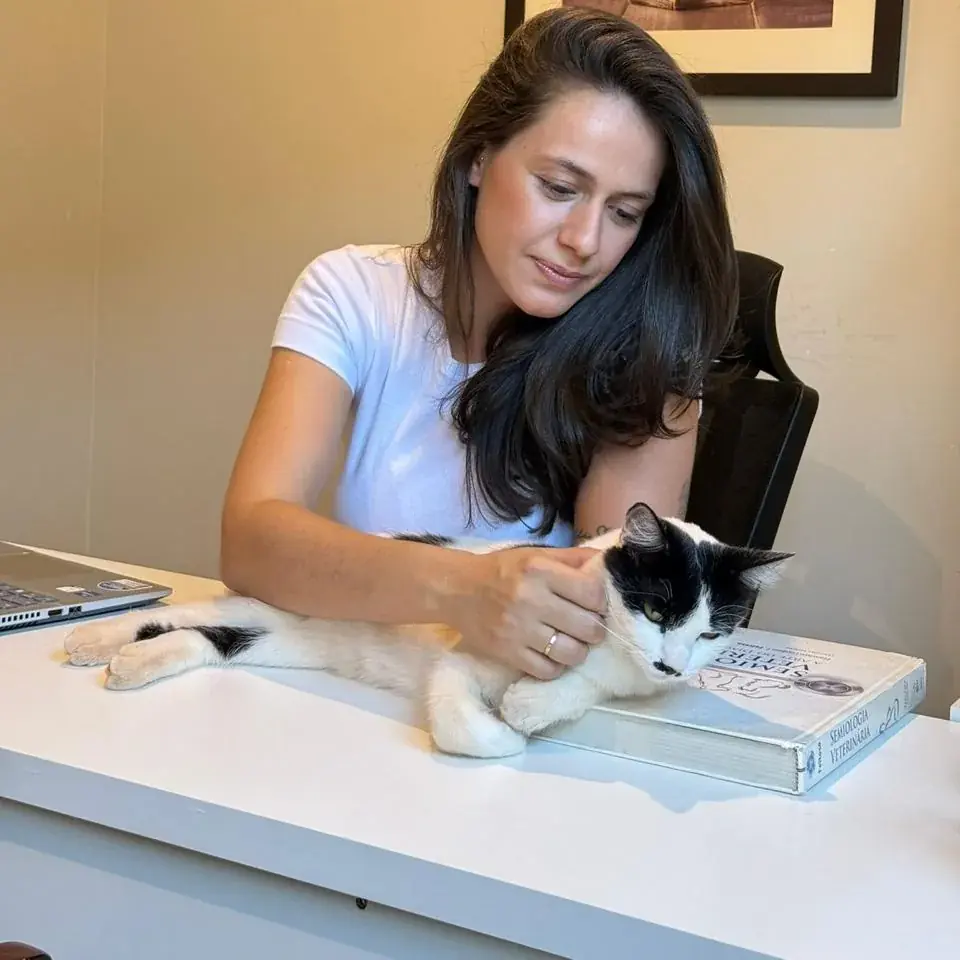 Dra. Mariana Neves examinando um gato sobre a mesa